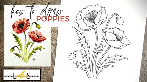 How to Draw a Realistic Poppy Flower! How to Draw! Poppy Flower! Poppy ...