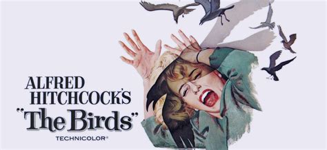 'The Birds' TV Remake Coming From The BBC And Harry Potter Producer