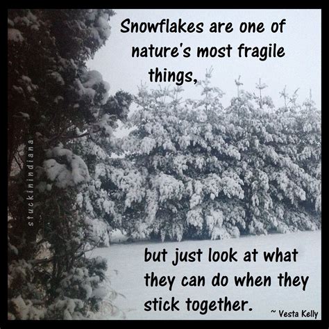 "Snowflakes are one of nature's most fragile things, but just look at ...