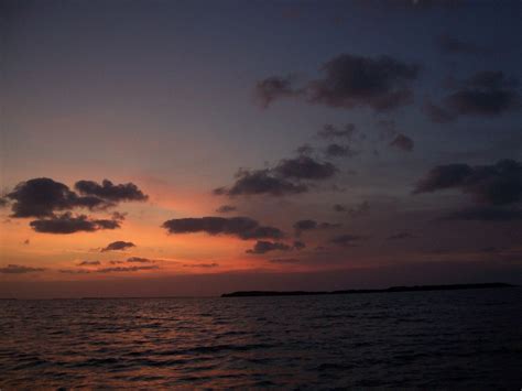 John Pennekamp Coral Reef State Park Camping | The Dyrt