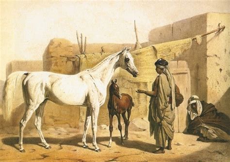 Arabian Horse History :: Arabian Horses, Stallions, Farms, Arabians, for sale - Arabian Horse ...