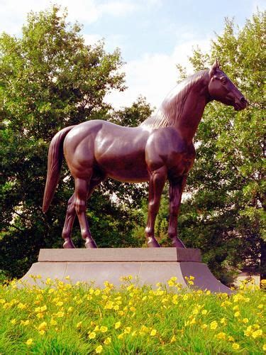 Man O' War statue at the Kentucky Horse Park. | Kentucky horse park, Horses, Derby horse