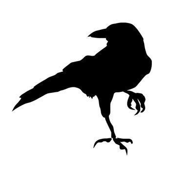 Free Raven Cliparts, Download Free Raven Cliparts png images, Free ClipArts on Clipart Library