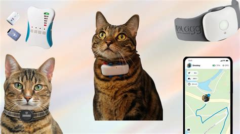 Top Cat GPS Trackers in 2023 (Designed for Cats) | Technomeow