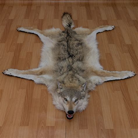 SIBERIAN GRAY WOLF TAXIDERMY RUG MOUNT WITH HEAD - GREY WOLF MOUNTED PELT, FUR, SKIN, HIDE FOR ...