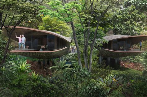 Sleep in a rainforest treehouse at this eco resort