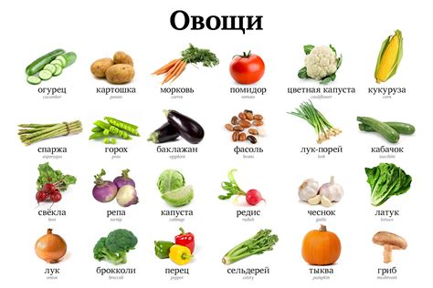 Vegetable Vocabulary | Journal Russian