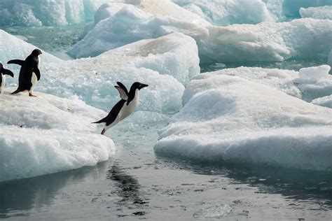 Antarctica is changing. The impact could be catastrophic