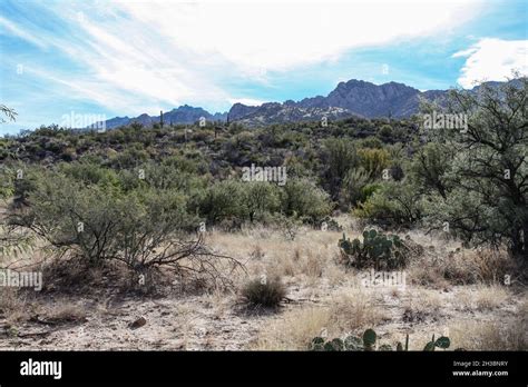 Hiking in Catalina State Park, Arizona.x Stock Photo - Alamy