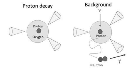 Proton Decay - Assignment Point