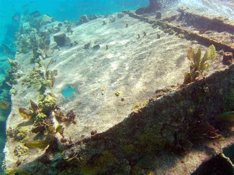 Grand Cayman snorkeling from the shore is wonderful