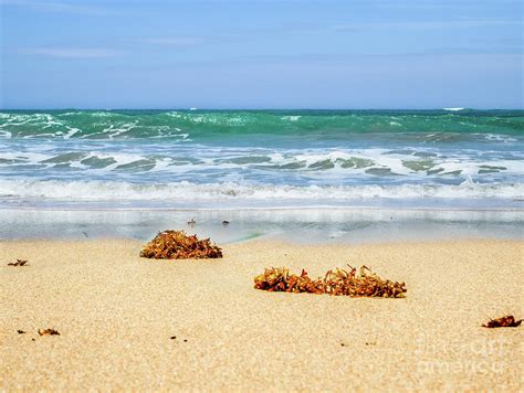 Peaceful Ocean Scene with Turquoise Ocean Beach Art Photograph by Crystal Calla - Pixels