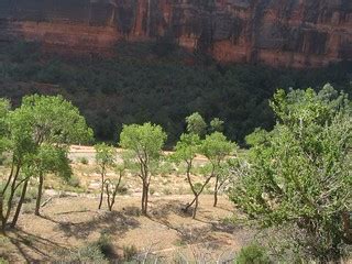 Virgin River, Zion Canyon, Zion National Park, Utah | Flickr