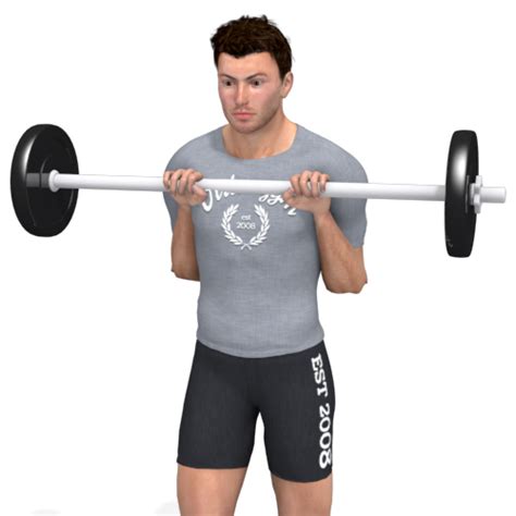 Barbell Reverse Curl Video Exercise Guide