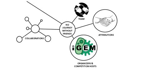 Team:TU Dresden/Measurement - 2019.igem.org