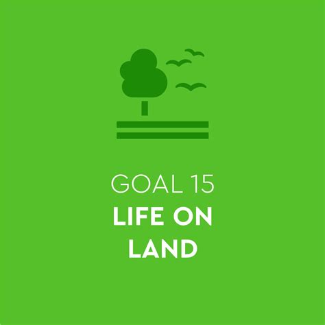 Goal 15: Life On Land – #TOGETHERBAND