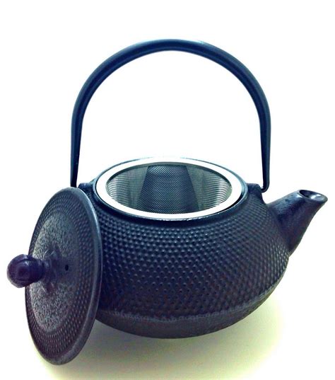 Japanese Tetsubin Cast Iron Teapot