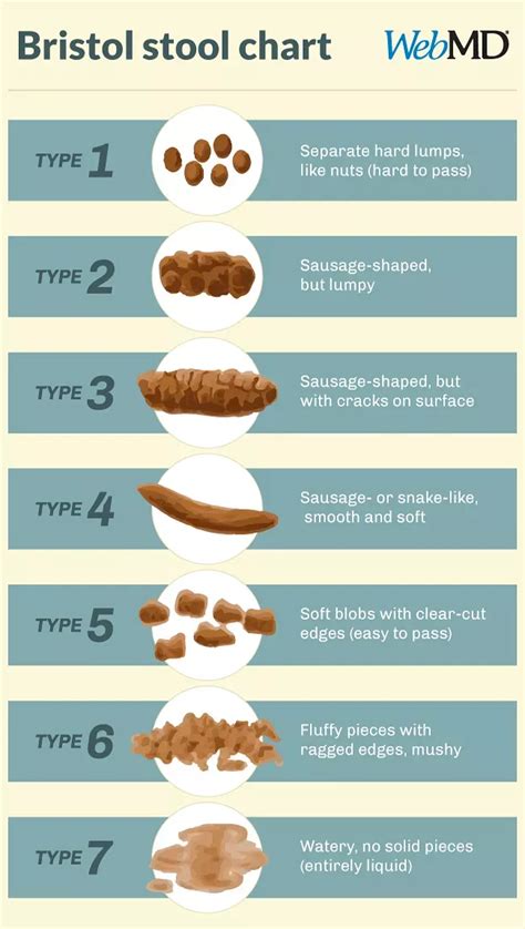 What Kind of Poop Do I Have? in 2024 | Bristol stool chart, Bristol stool, Stool chart