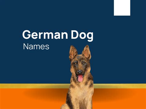 1260+ German Dog Names for Your Furry Best Canine! (+Generator)