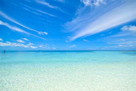 Clear Blue Shore · Free Stock Photo