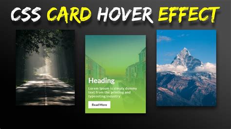 CSS Card Hover Effects | Html CSS - YouTube