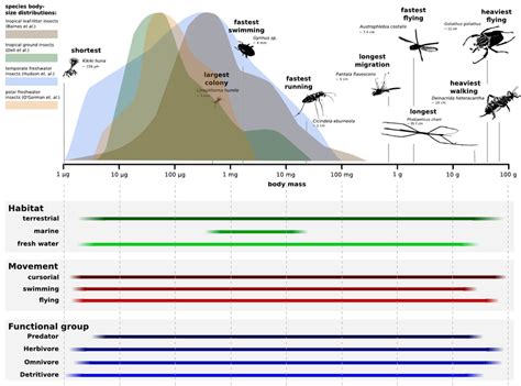 Schematic overview of the ecology of insects in relation to their body... | Download Scientific ...