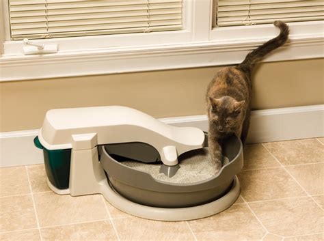 Self Cleaning Litter Box - Oh The Things You Can Buy