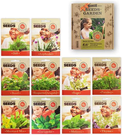 Amazon.com : HERB Seeds, 10 Seed Packs, 100% Certified Organic Non GMO - Ideal for Indoor and ...