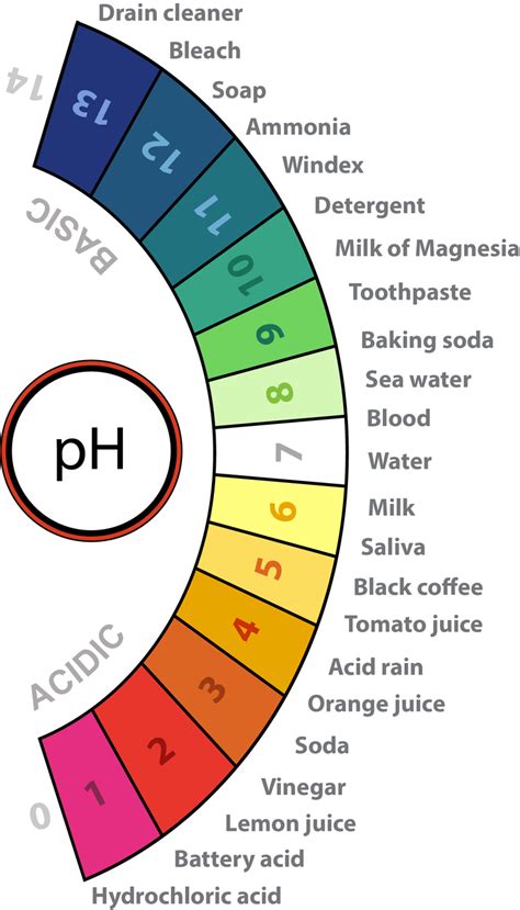 Water, Acids, and Bases | CK-12 Foundation