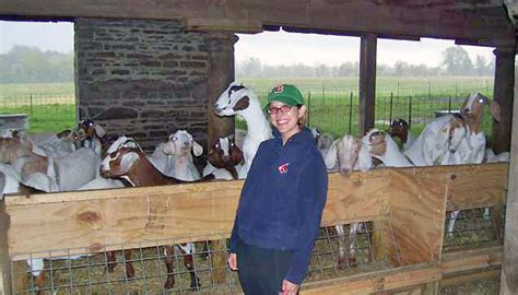 Visiting the Goats | Life in the Finger Lakes