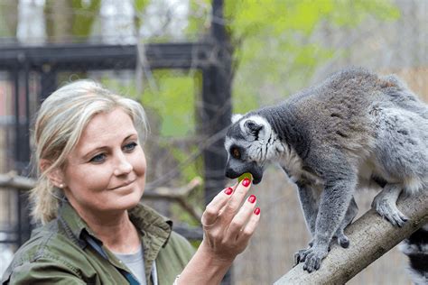 How to Become a Zookeeper - International Career Institute Australia