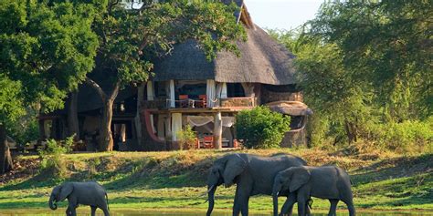 Luangwa Safari House | Luxury Lodges in Zambia | Yellow Zebra Safaris