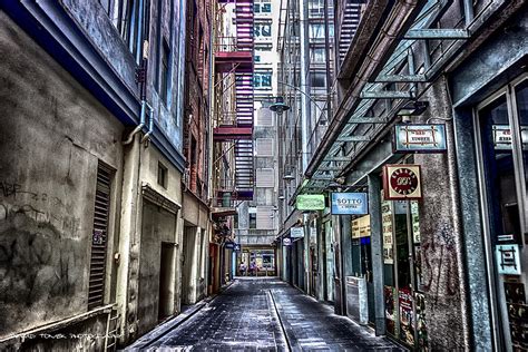 Urban Jungle - Melbourne Digital Art by David Tomek