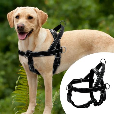 List 94+ Pictures Images Of Dog Harnesses Sharp
