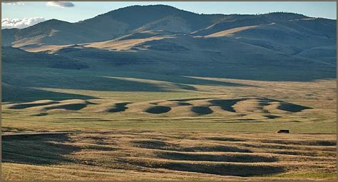 Camas prairie - Alchetron, The Free Social Encyclopedia