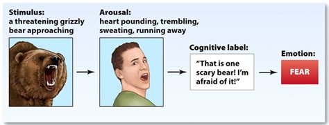 Schachter Two-factor Theory | Emotion | Pinterest