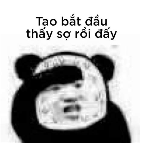 Ghim của BethHuca trên Meme ( vietnamese ) | Hài hước, Meme, Chơi chữ ...