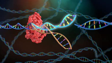 A Closer Look at the Approval of CRISPR/Cas9 Gene Therapy for Sickle Cell Disease | MedPage Today