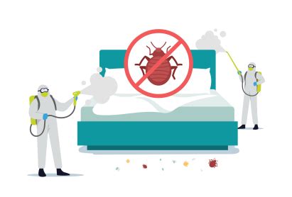 How to avoid Bed Bugs? Top Advices from Total Clean