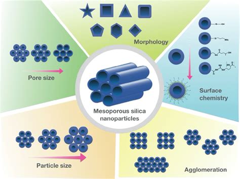 Tunable physicochemical properties of MSNs. Schematic illustration of... | Download Scientific ...