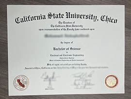 California State University Chico degree | Buy Fake Diploma Online|Fake Degree Transcript ...