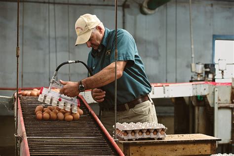 How to buy local cage free eggs - Five Acre Farms