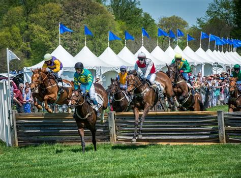 Winterthur's Point to Point Is The Most Exciting Spring Festival In Delaware