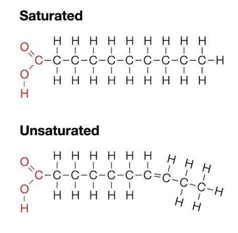 42 saturated fatty acid diagram - Wiring Diagram Images