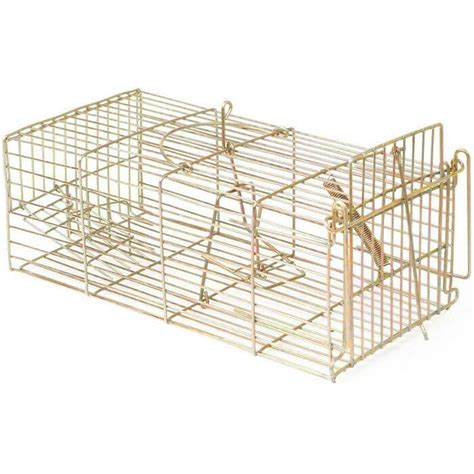 "Family" Live Trap - Humane & Durable Solution For Safe Rat Capture