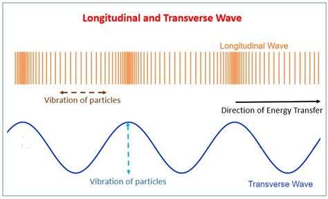 longitudinal vs transverse - Google Search | Longitudinal wave, Energy transfer, Physical science