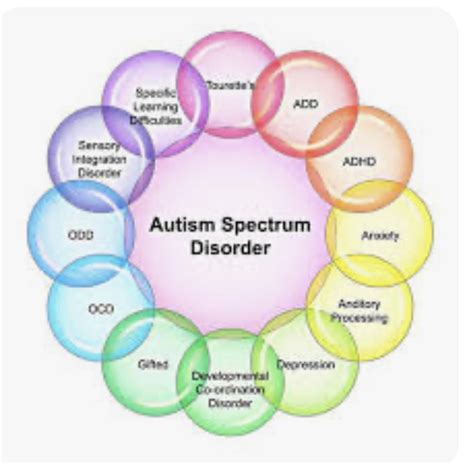 Autism 101- Episode 5 Steps to an Autism Diagnosis