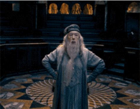 love this picture of Dumbledore lol | Harry potter characters, Harry potter gif, Dumbledore