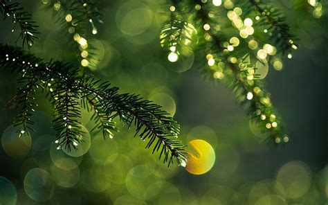 Christmas Pine Trees Wallpapers - Wallpaper Cave