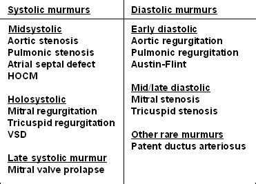 Describing Murmurs | Learn the Heart